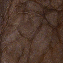 Metallic Epoxy Powder Pigments - Cohills - Image 15