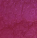 Metallic Epoxy Powder Pigments - Cohills - Image 26