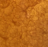 Metallic Epoxy Powder Pigments - Cohills - Image 72