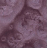 Metallic Epoxy Powder Pigments - Cohills - Image 75