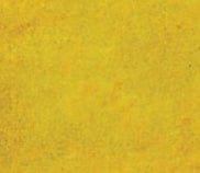 Concrete Floor Stain - Butterfield Color Elements - Image 6