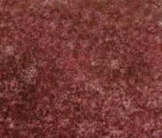 Concrete Floor Stain - Butterfield Color Elements - Image 9