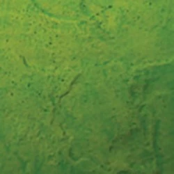 Acid Concrete Stain - NewLook Endura Faux Fusion - Image 32