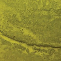 Acid Concrete Stain - NewLook Endura Faux Fusion - Image 40