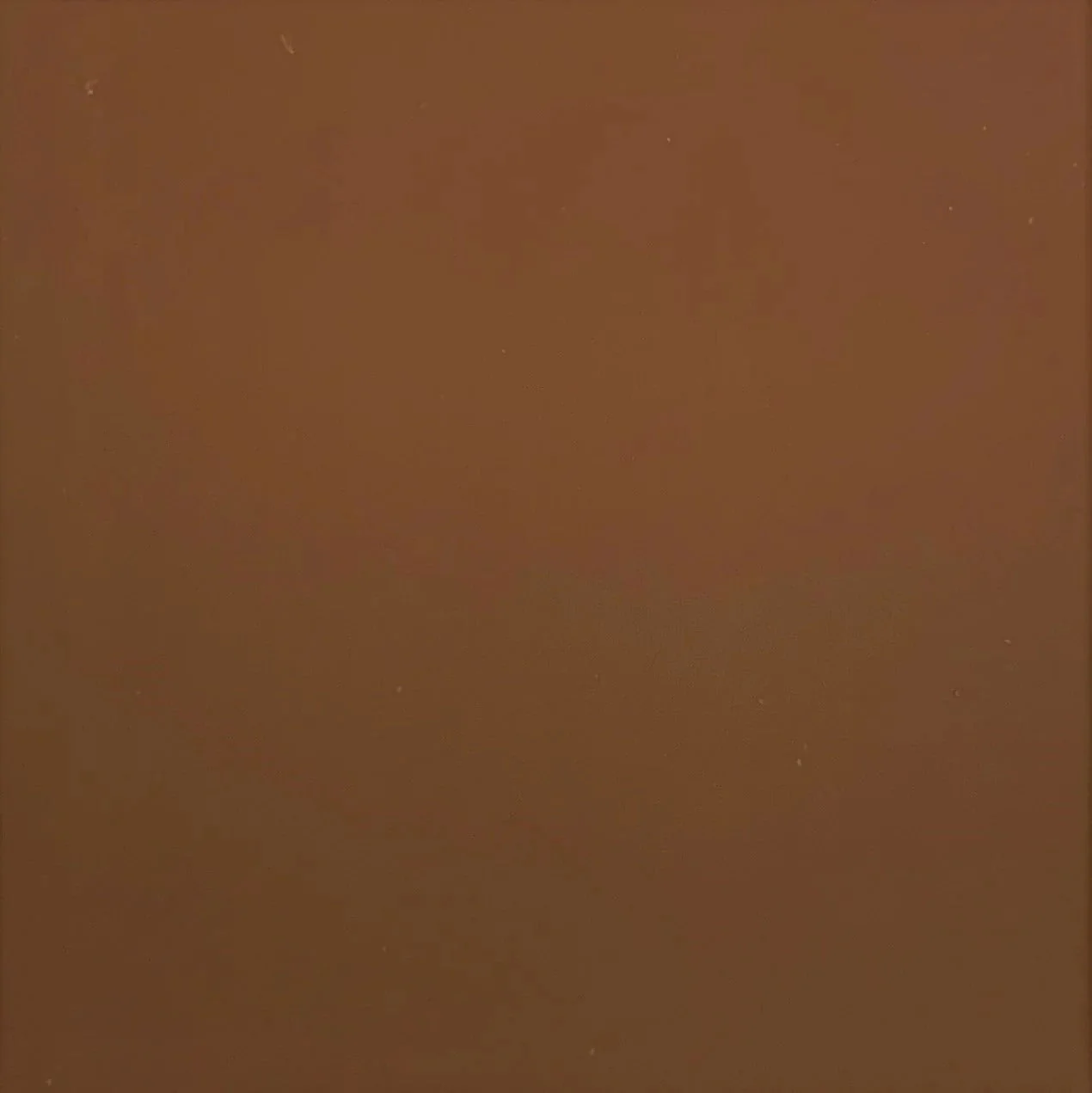 Acid Concrete Stain - NewLook Endura Faux Fusion - Image 44