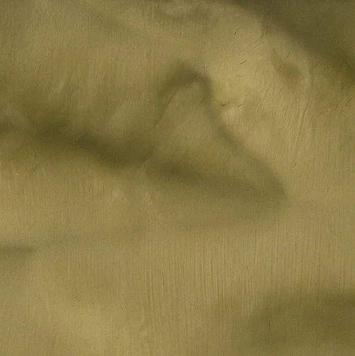 Metallic Floor Pigments - Torginol - Image 20