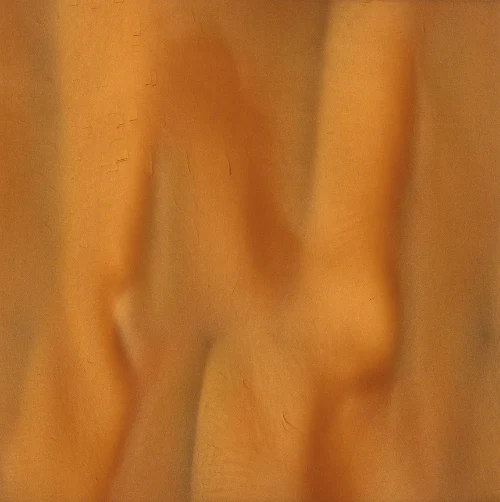 Metallic Floor Pigments - Torginol - Image 28