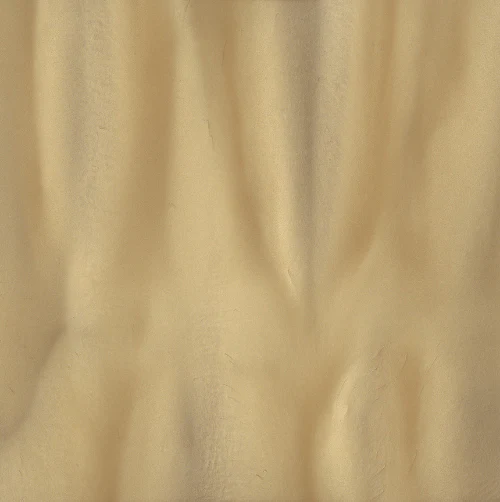 Metallic Floor Pigments - Torginol - Image 45