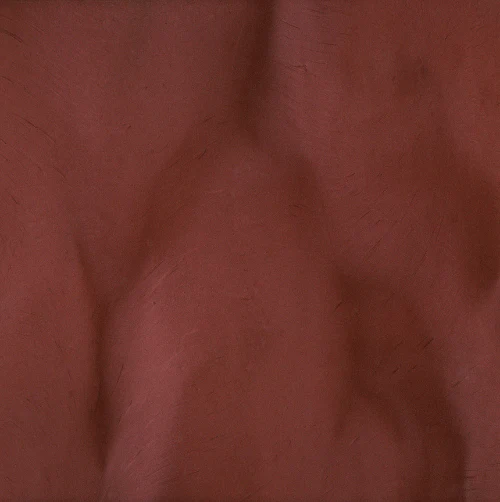 Metallic Floor Pigments - Torginol - Image 46